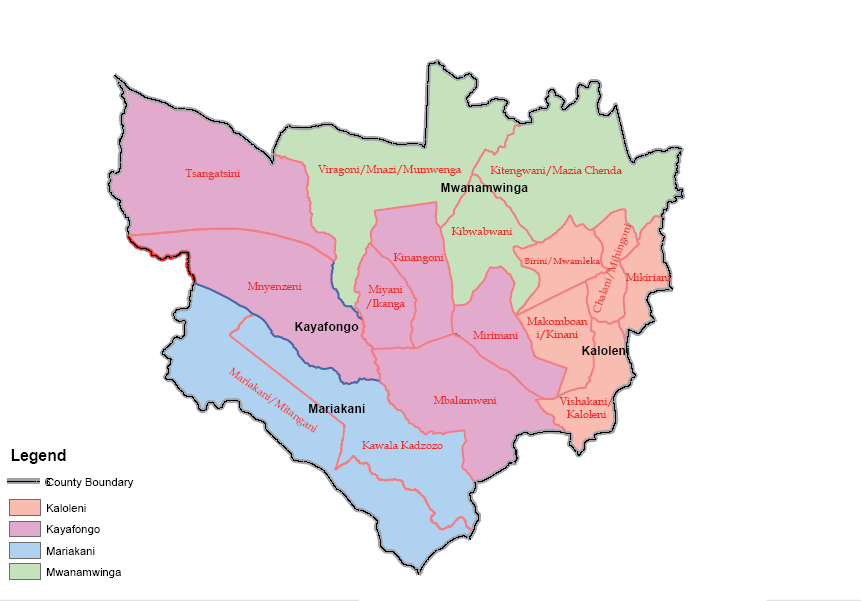 Kaloleni Constituency